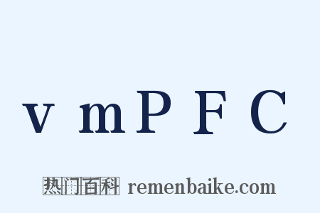 vmPFC是什么意思的图片